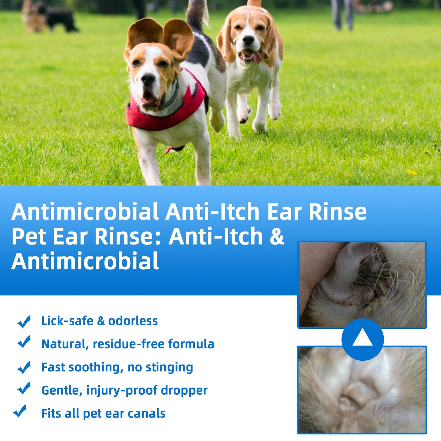🐶🐱 Ear Cleaner | Relieves Itching in Dogs & Cats 👂
