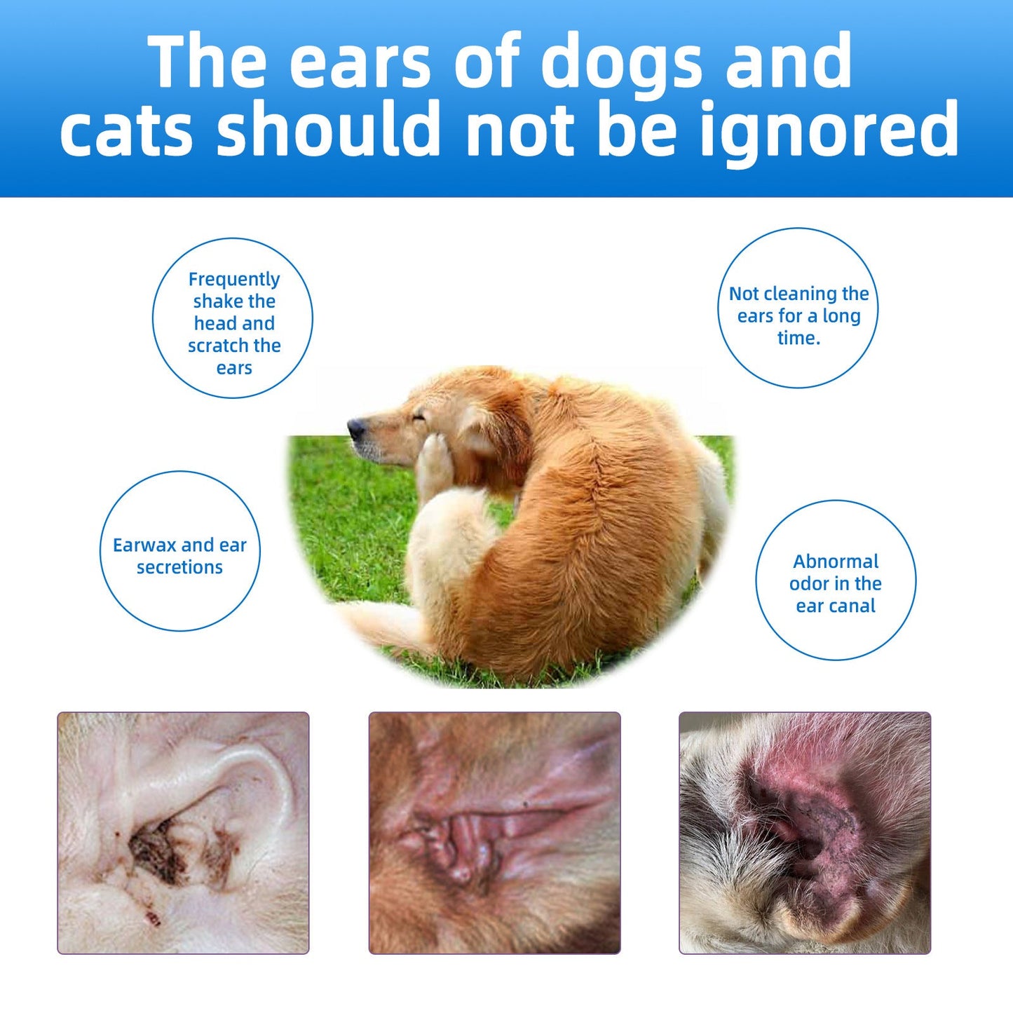 🐶🐱 Ear Cleaner | Relieves Itching in Dogs & Cats 👂