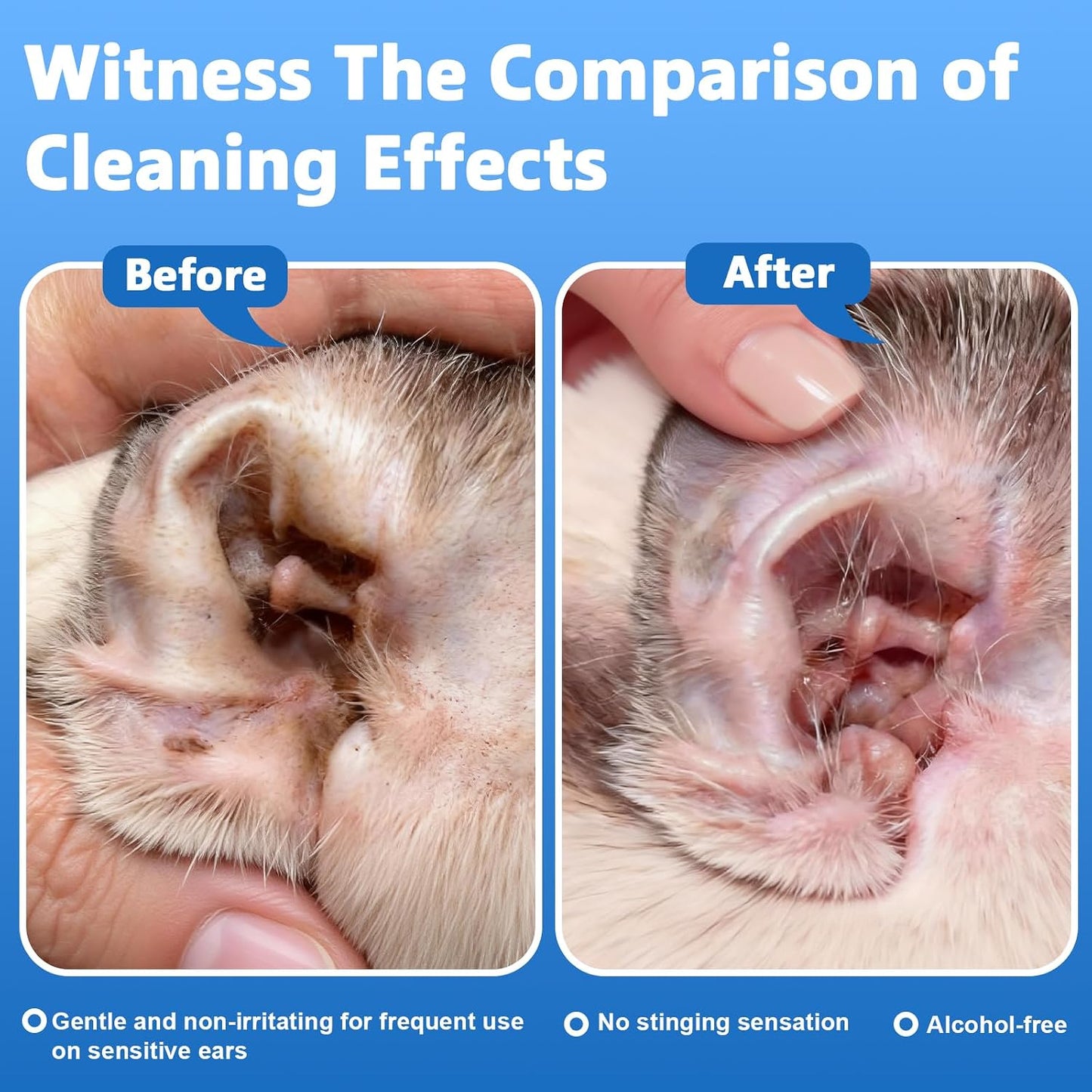 🐶🐱 Ear Cleaner | Relieves Itching in Dogs & Cats 👂
