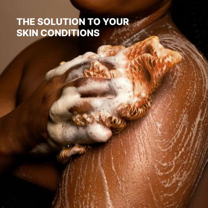 African Exfoliating Net Sponge